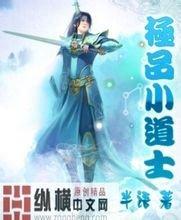 澳门精准正版免费大全14年新免费 小说